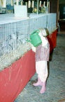 Purmerend Waterland-klein-dieren-show 1994